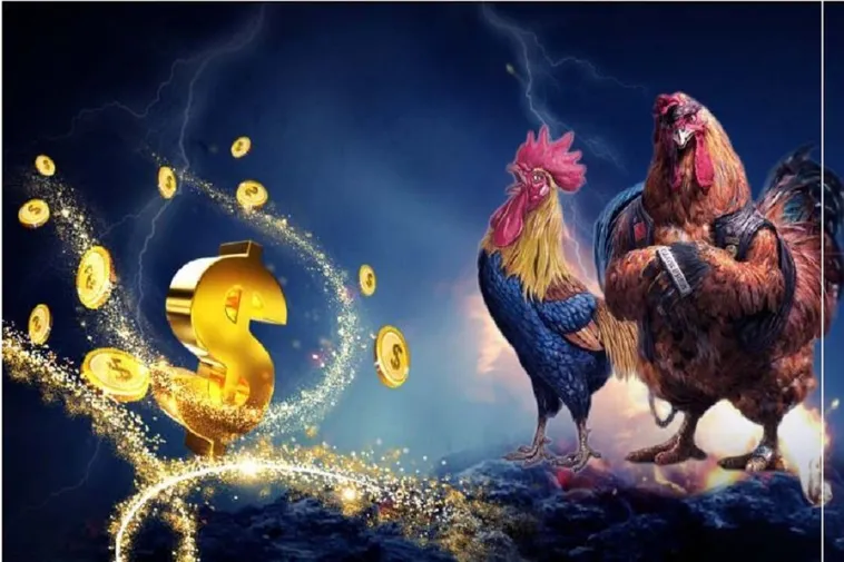 Cách Chơi Đá Gà WS168 Tại 92Lottery: Hướng Dẫn Chi Tiết Cho Kê Thủ Chuyên Nghiệp